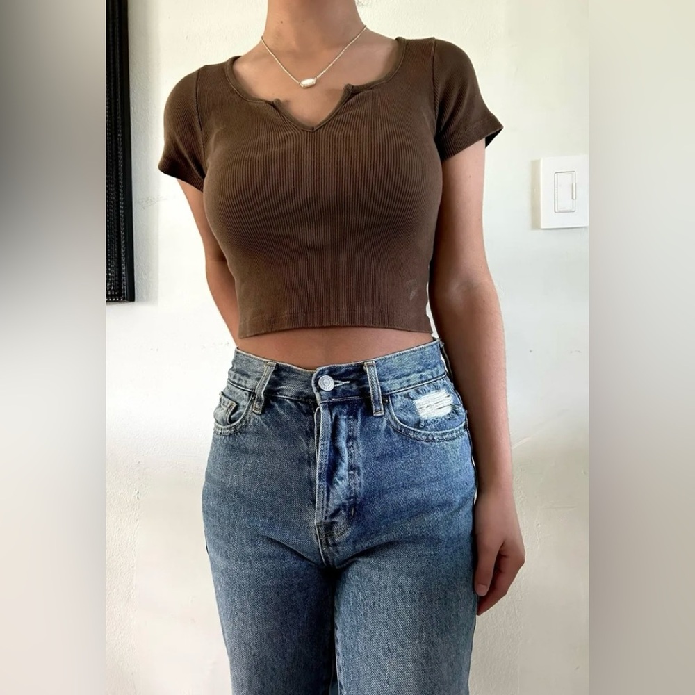 Brandy Melville Brown Crop Top